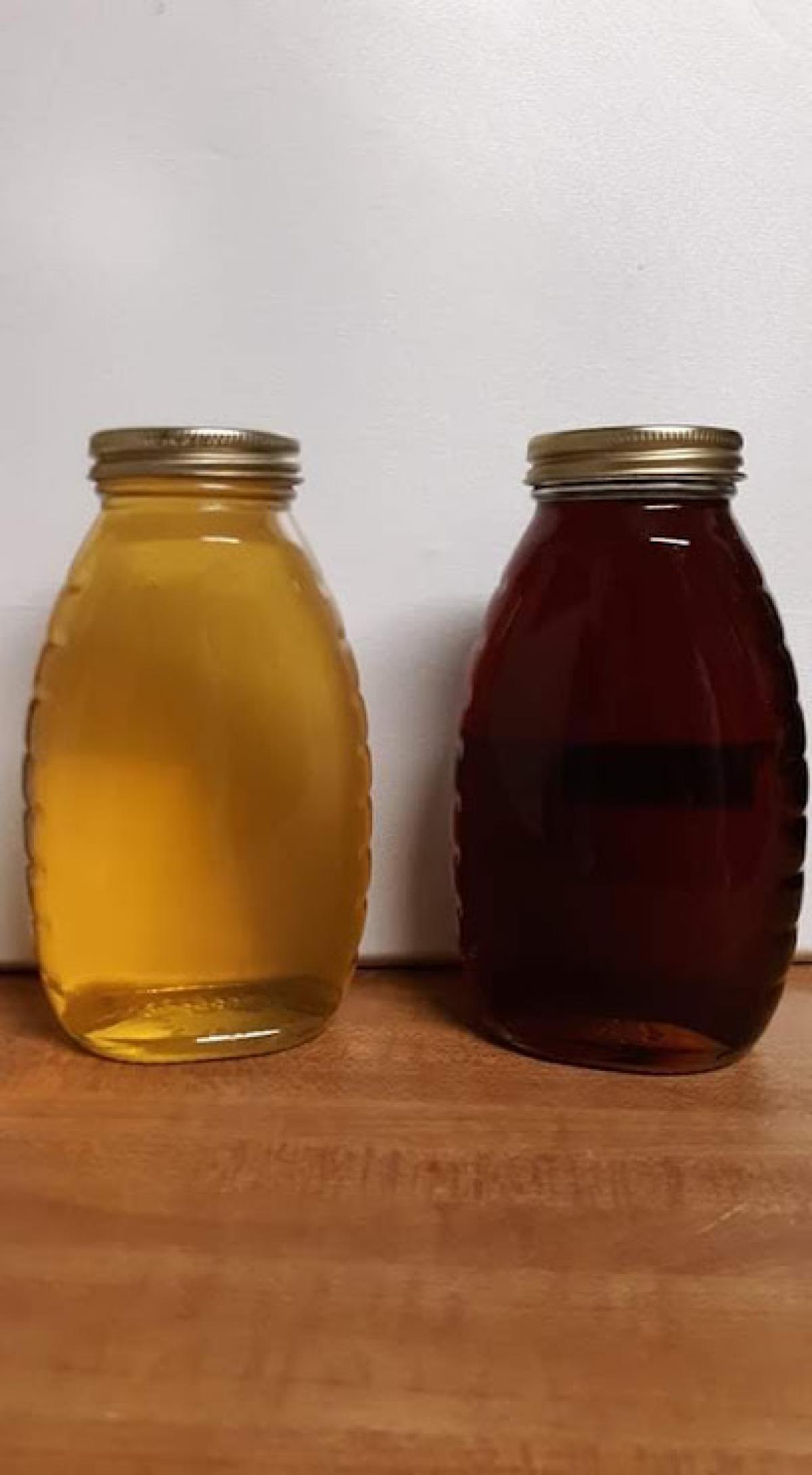 Gerber's Family Honey