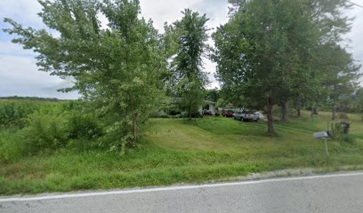 Waskoms Honey Bee Connection