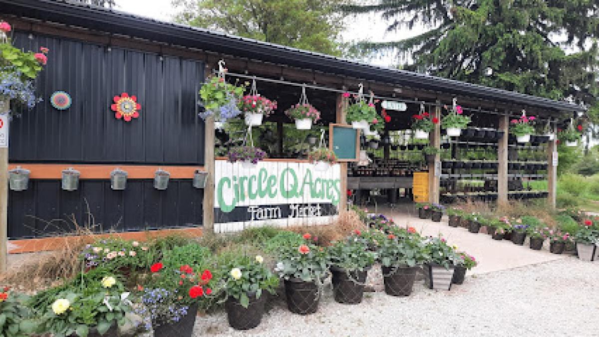 Circle Q Acres Farm Market