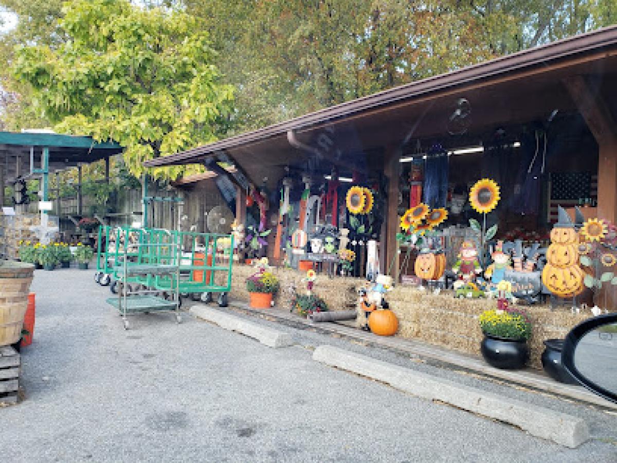 Top Banana Farm Market