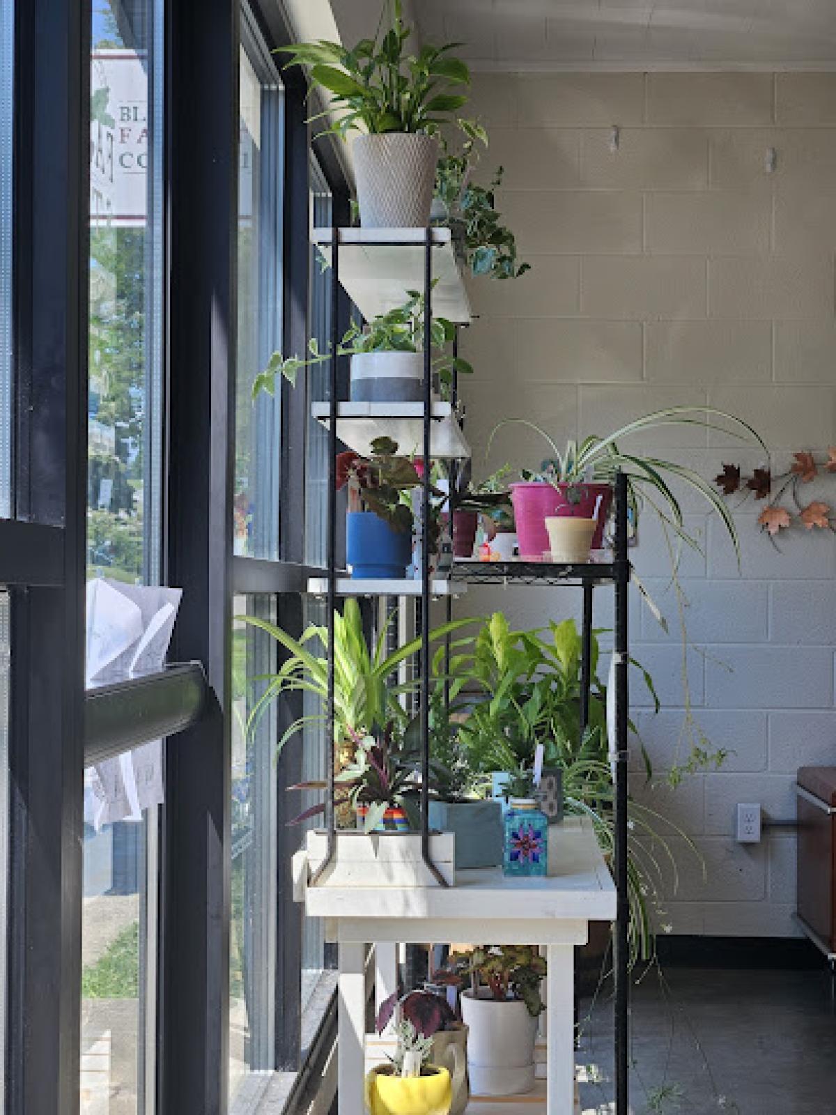 Bloomington Farm Stop Collective