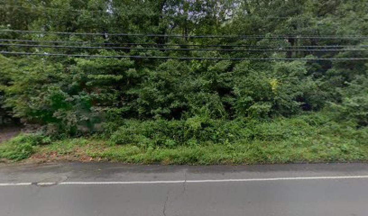 The Humble Bee Honey Company