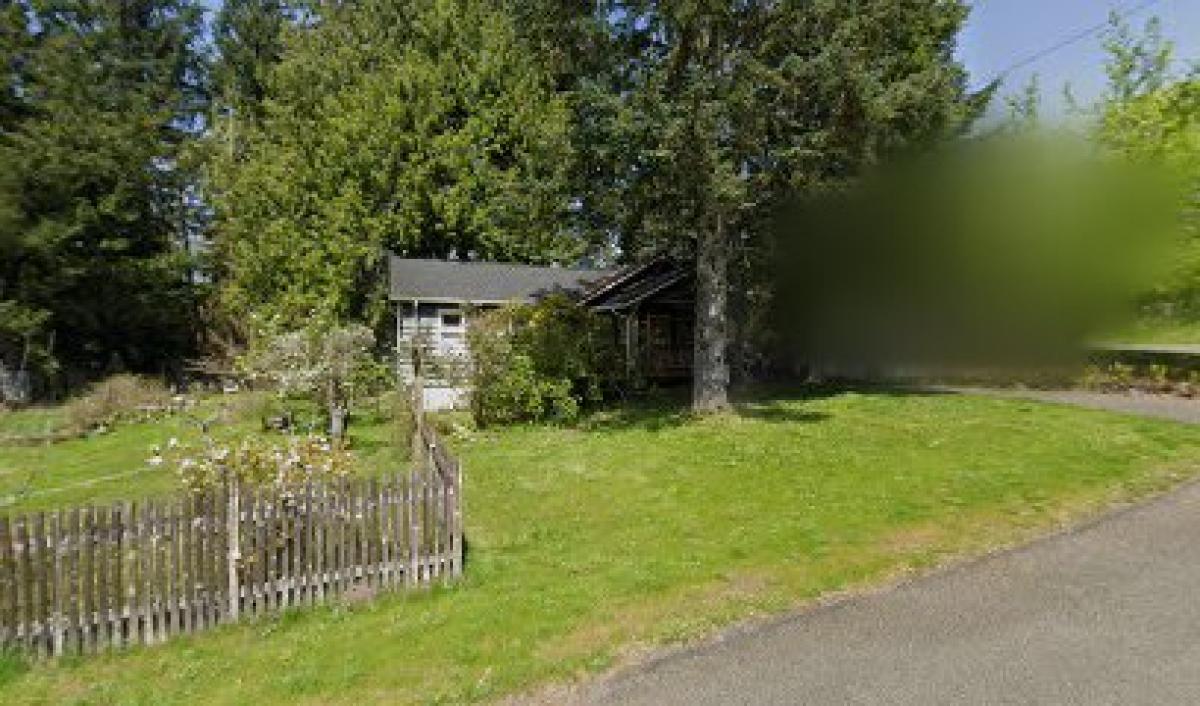 Working Girls Urban Bee Co