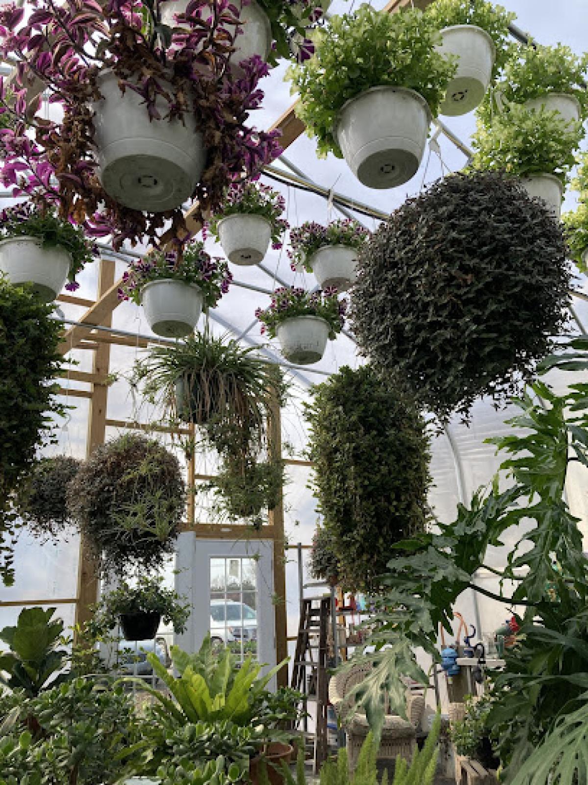 Home Grown Industries