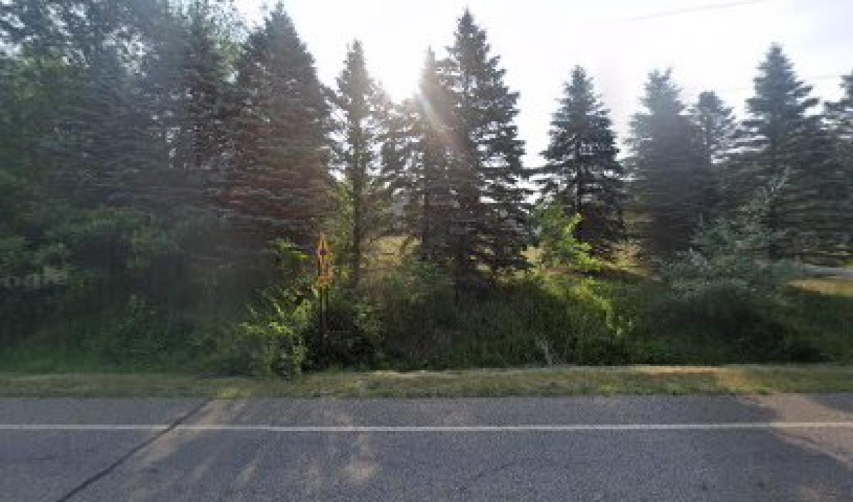 Willow Blossom Farms