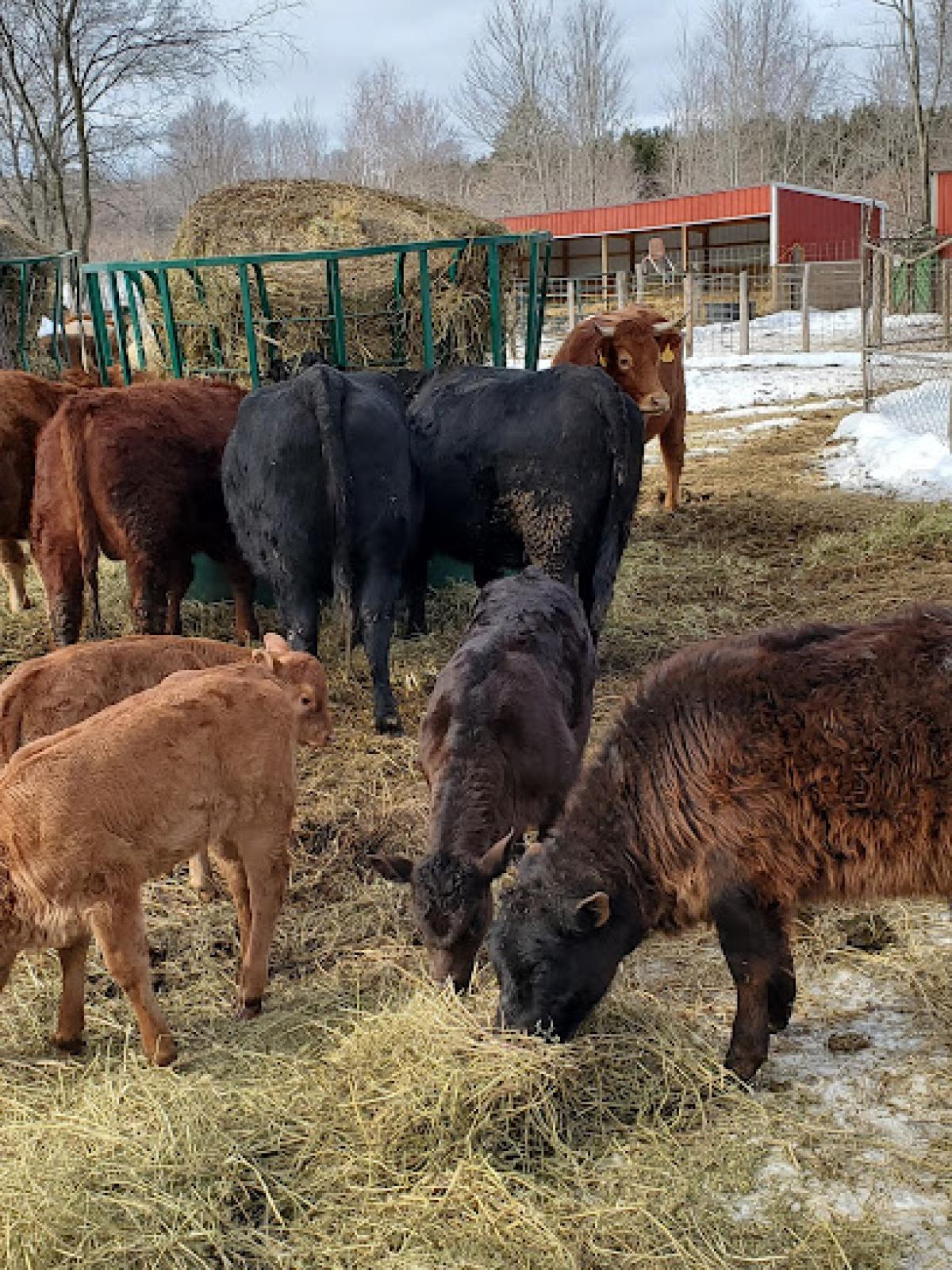 3rd Day Farmer’s Market and Store