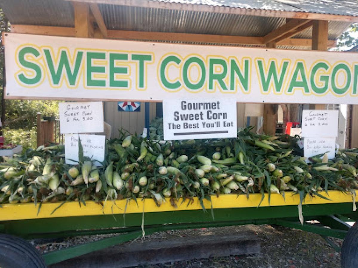 Artesian Well Produce and Spring water