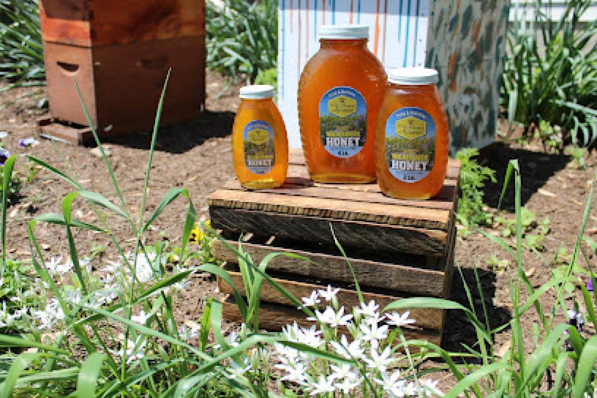 Welsh Mountain Apiaries