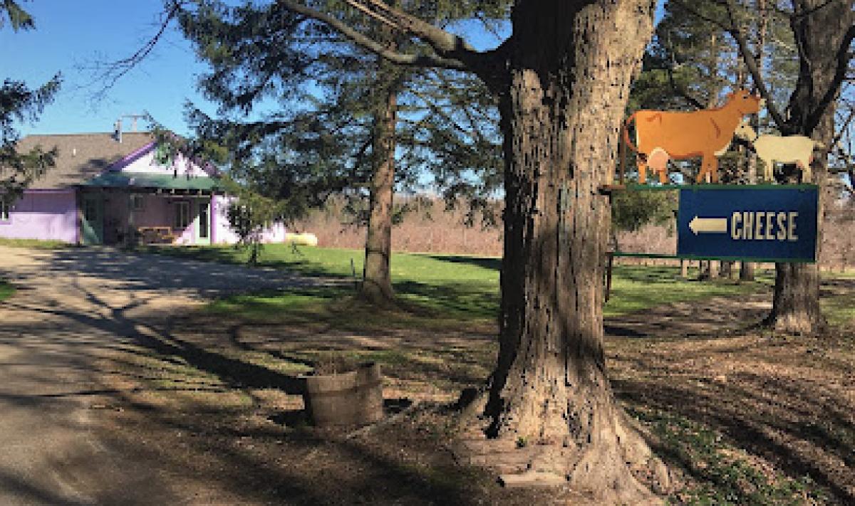 Evergreen Lane Creamery