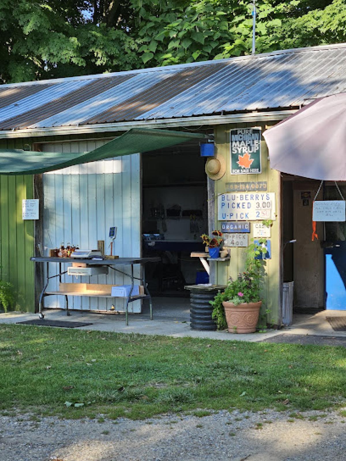 Adams Organic Blueberry Farms