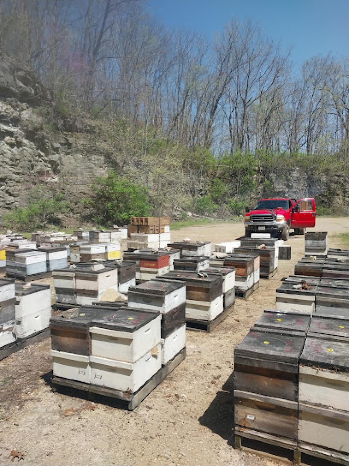 John and Lorraine's Hobby Honey Farm