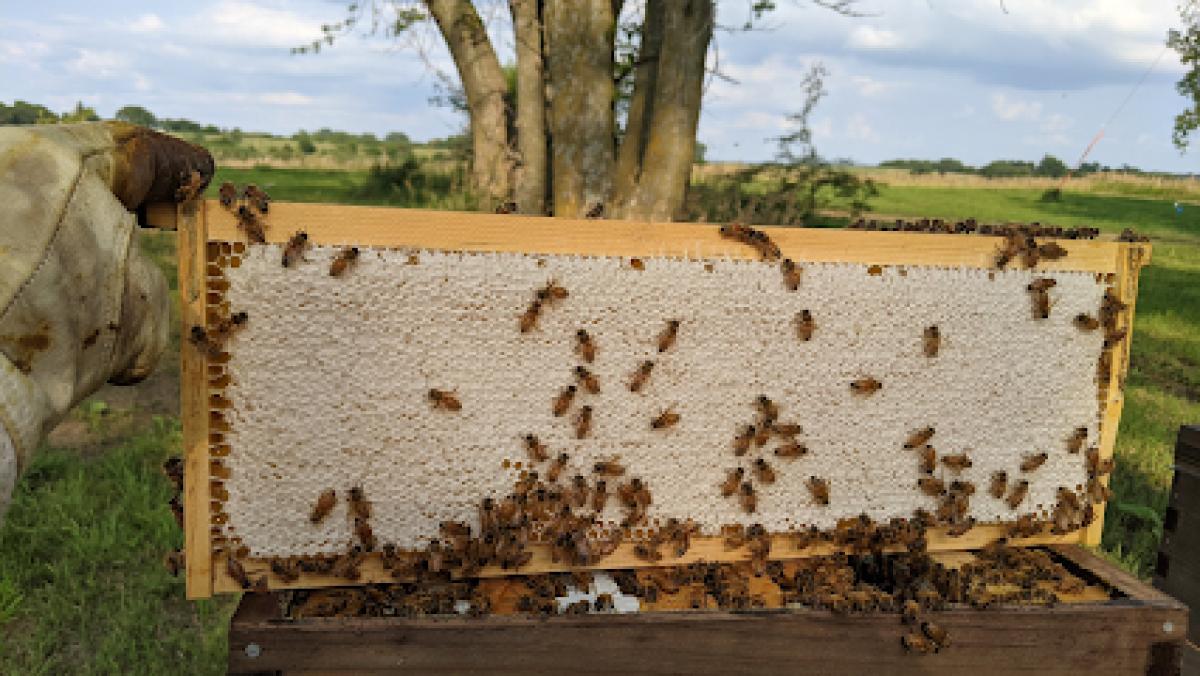 Furry Woods Honey Farm