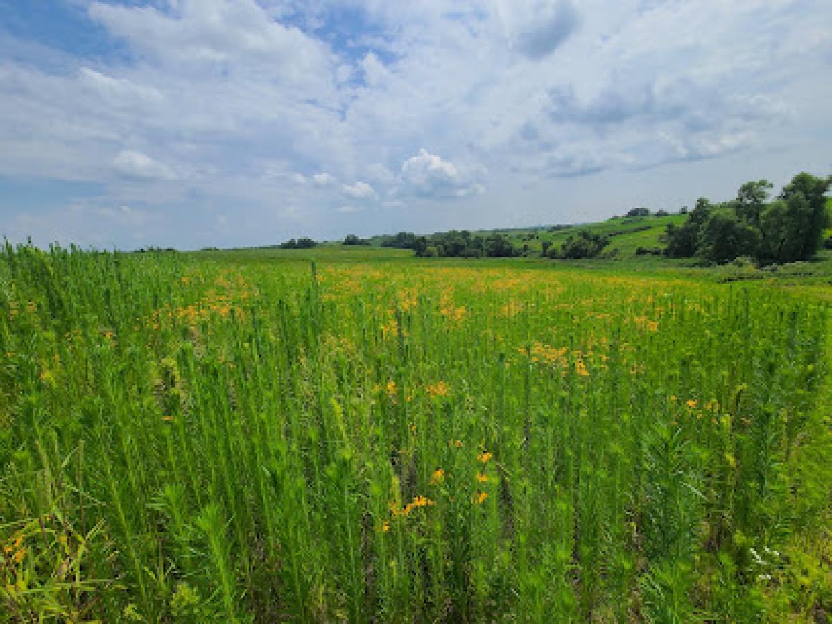 Seven Acres Honey, LLC