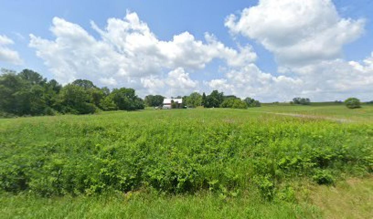 Bird and the Bees Honey