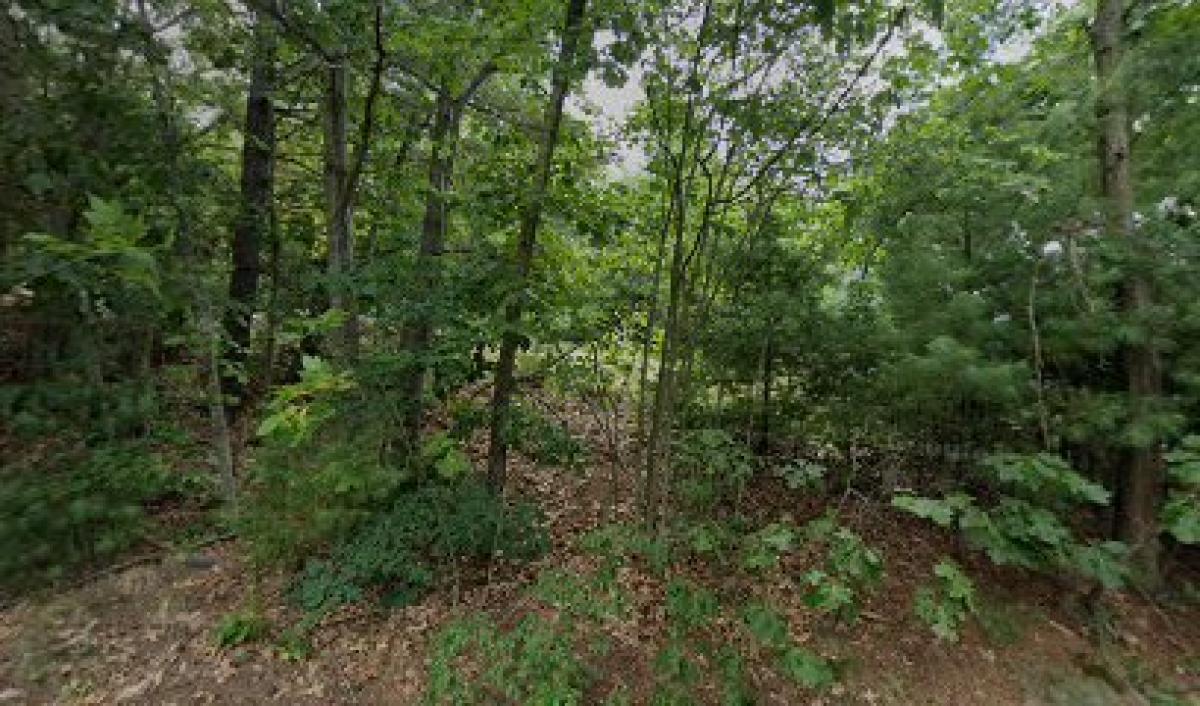 Wante Orchard & Apiary