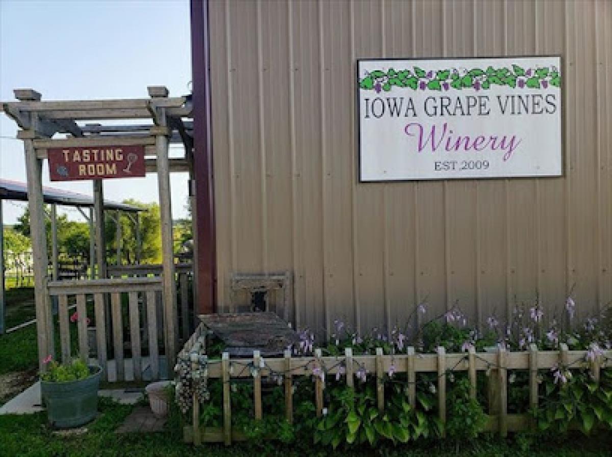 Iowa Grape Vines Winery