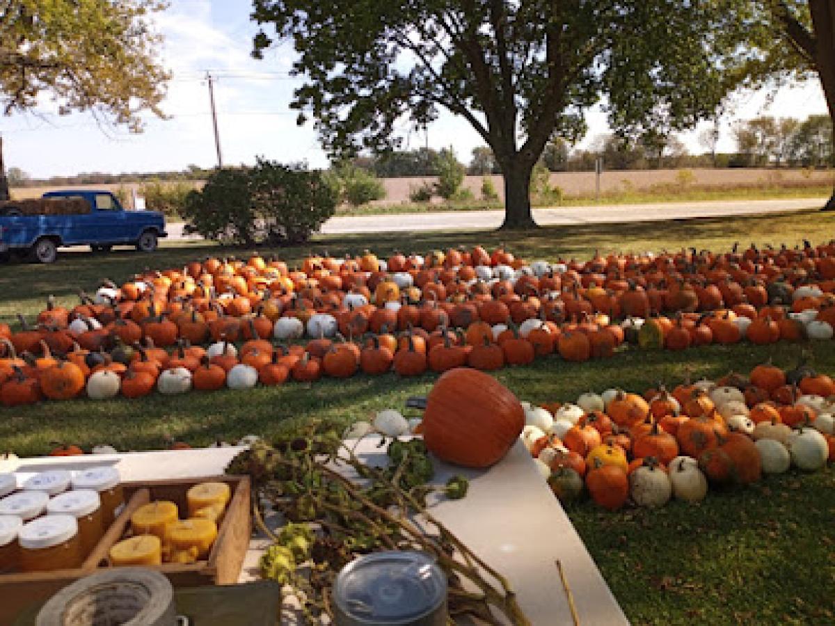 Pioneer Farm Produce