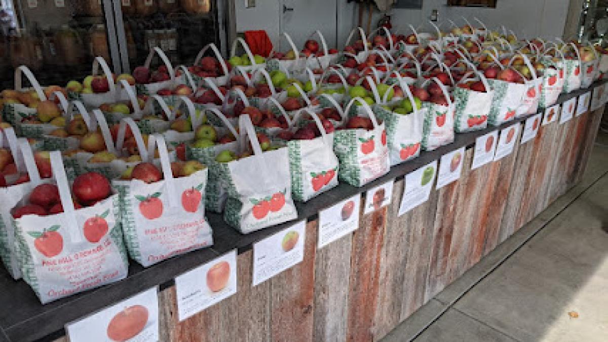 Pine Hill Orchard-Retail Stand