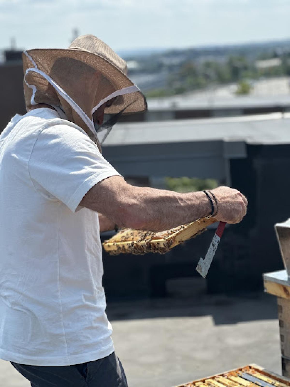 Spruce Honey and Bee