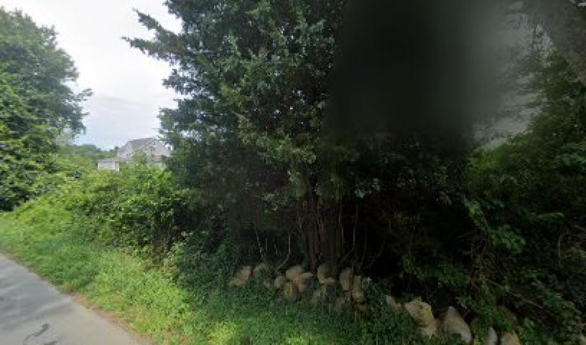 Smith Mills Apiaries Inc