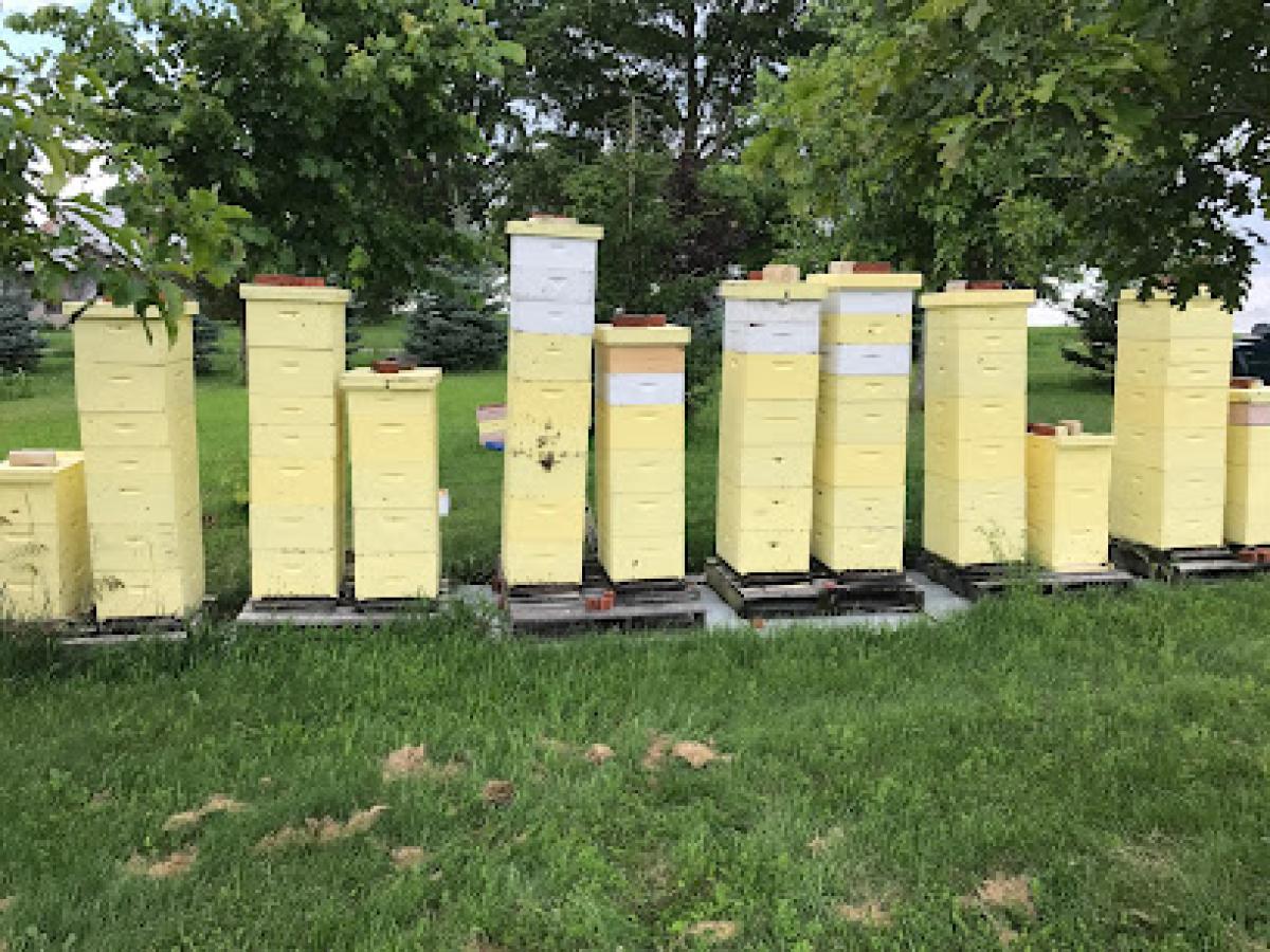 Werning Apiaries