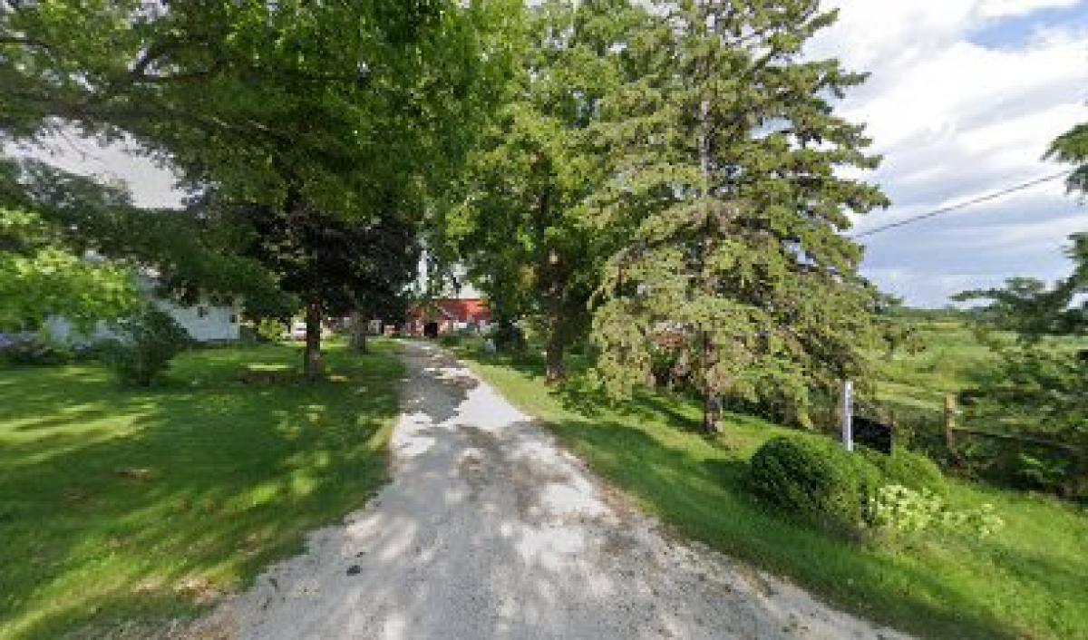 LotFotL Community Farm