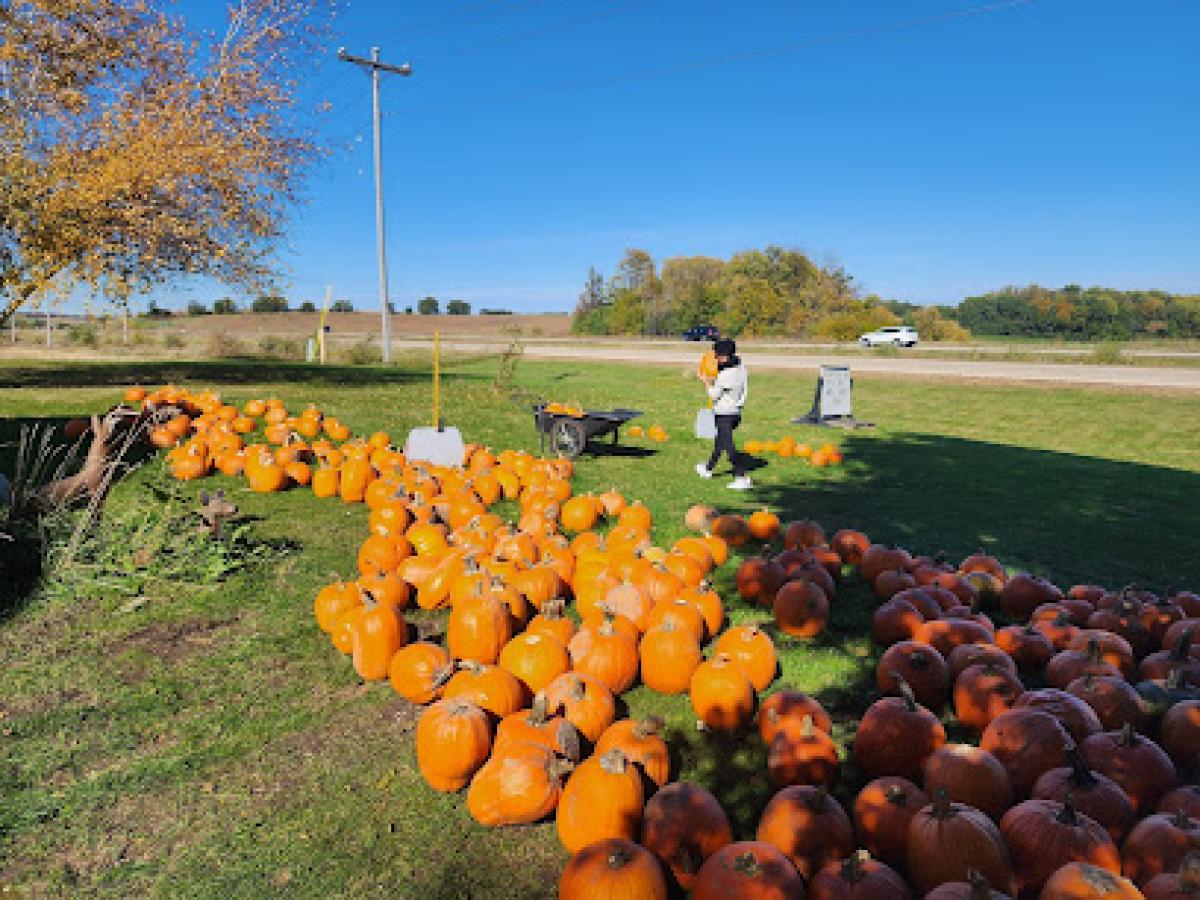 Acker's Farm Stand
