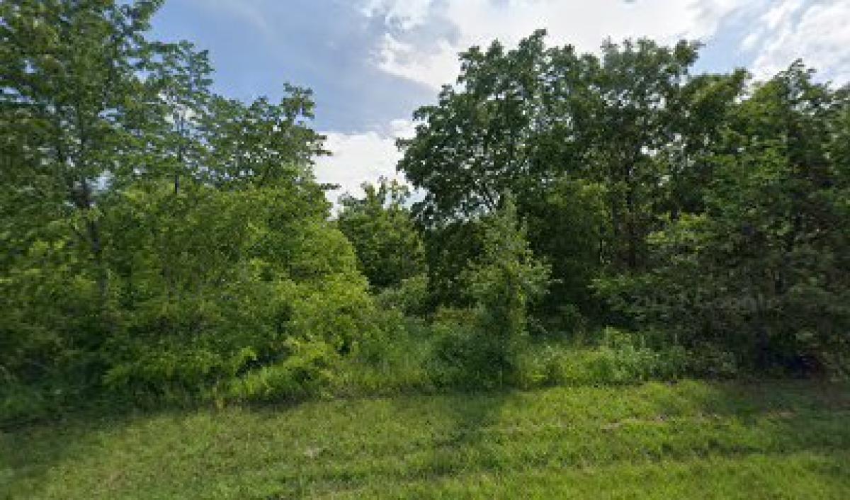 Driftless Blooms Honey Co.