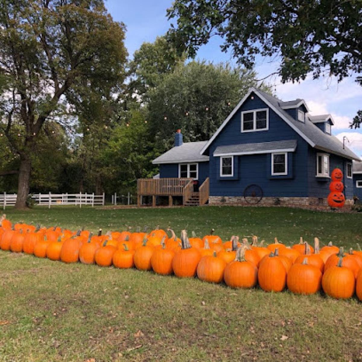 Molin's Meadows Farm