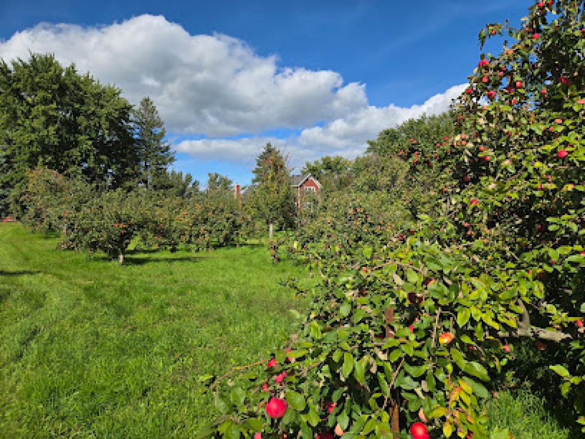 Applecrest Orchards