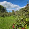 Applecrest Orchards