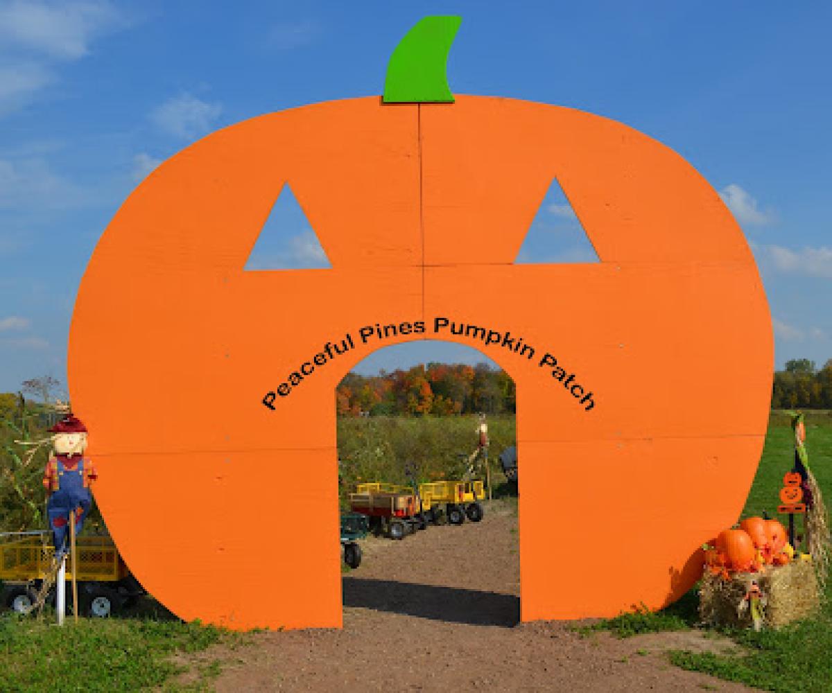 Peaceful Pines Pumpkin Patch & Apple Orchard