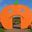 Peaceful Pines Pumpkin Patch & Apple Orchard
