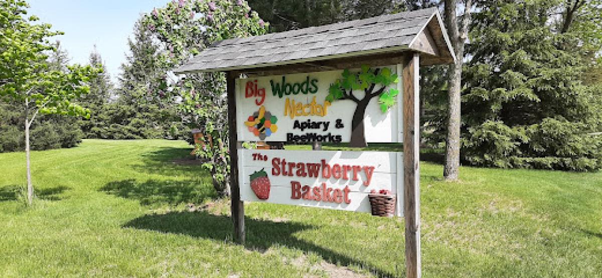 The Strawberry Basket