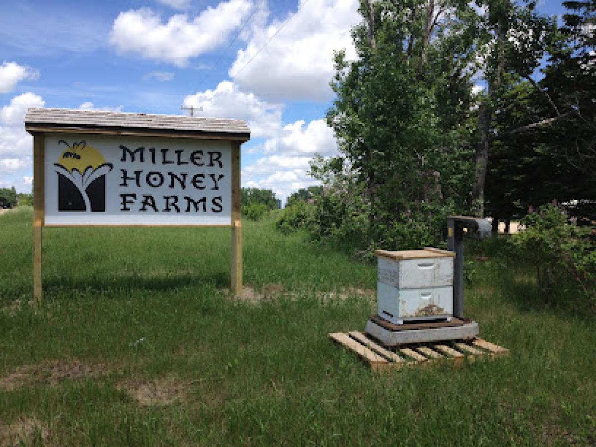 Miller Honey Farms