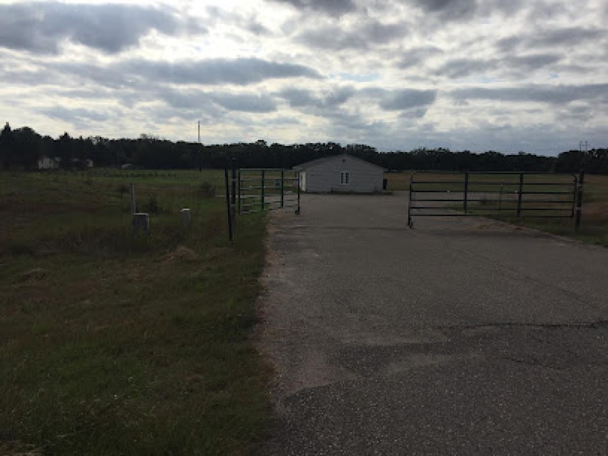 White Honey Bee Farm