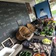 Deep Roots Farm Stand