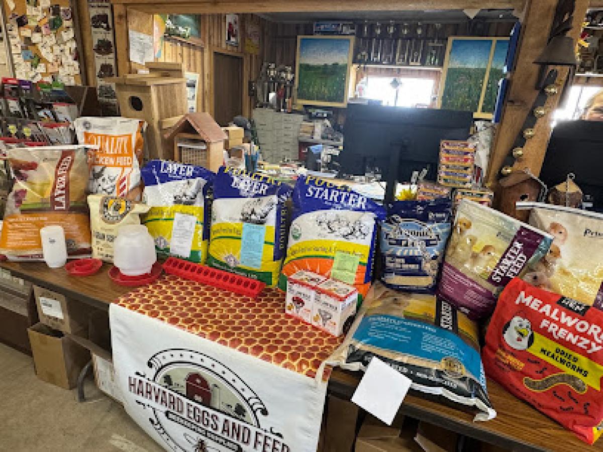 Harvard Eggs & Feed, LLC