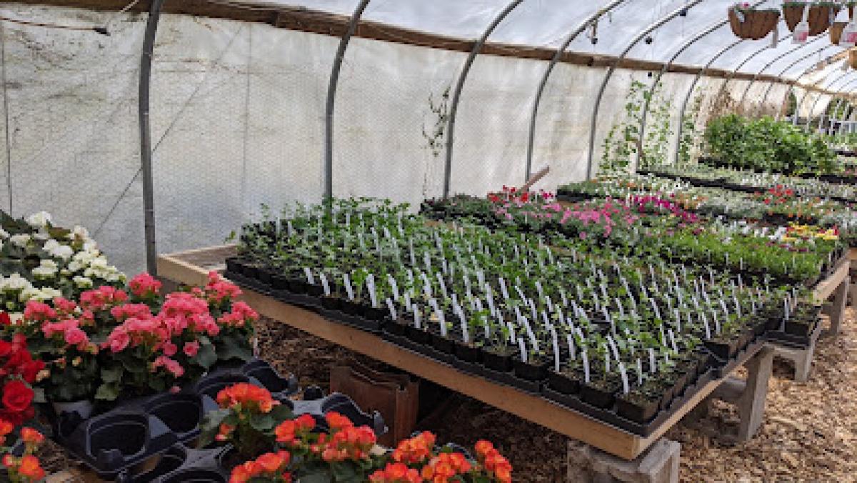 Maitland Mountain Farm