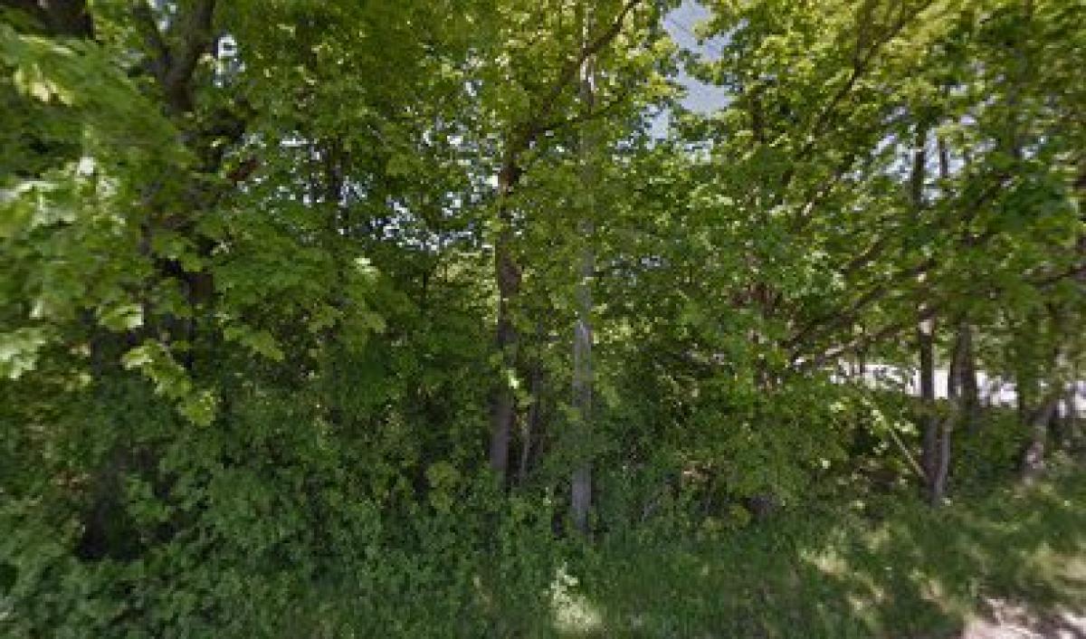 Cole McKenna Honey Farm