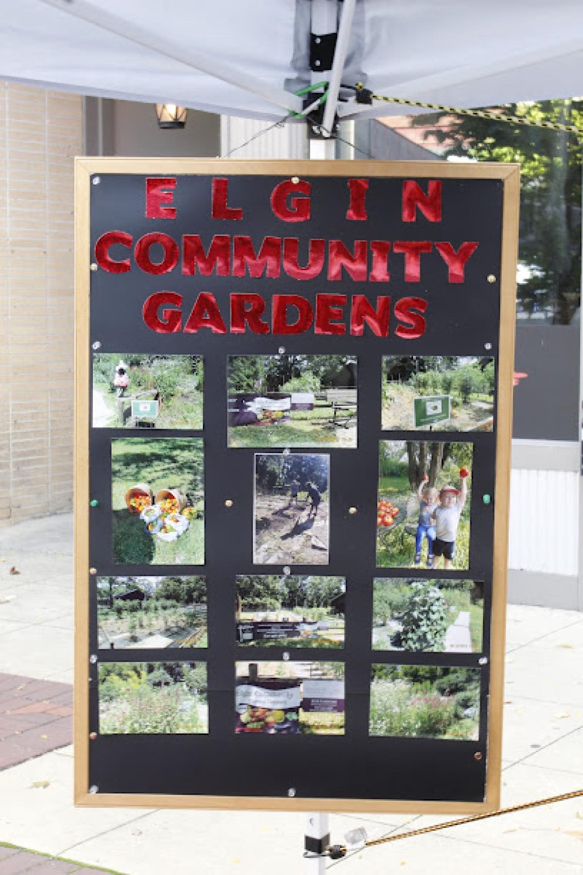 Downtown Elgin Market