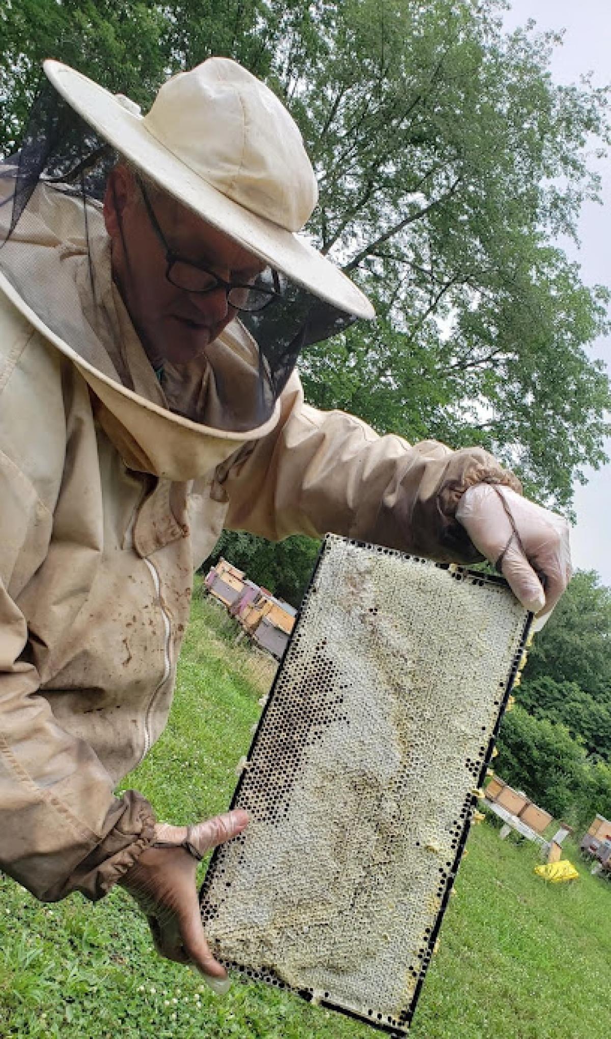 Freds Bee Supply LLC