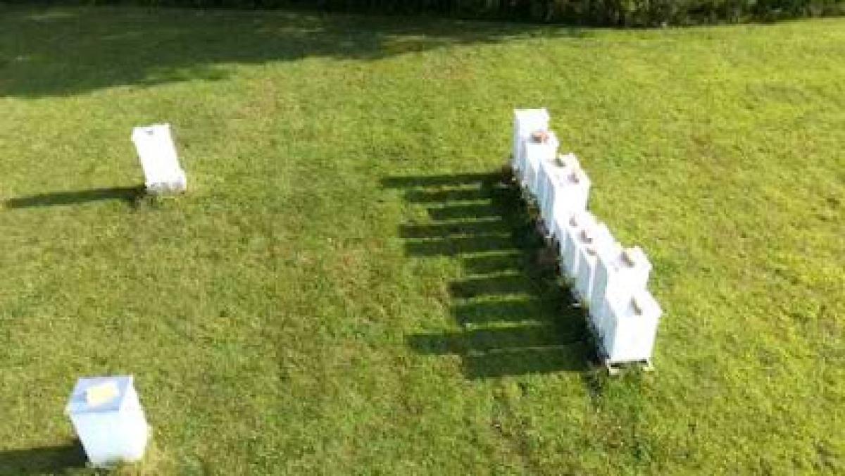 Kern Brothers Honey Company