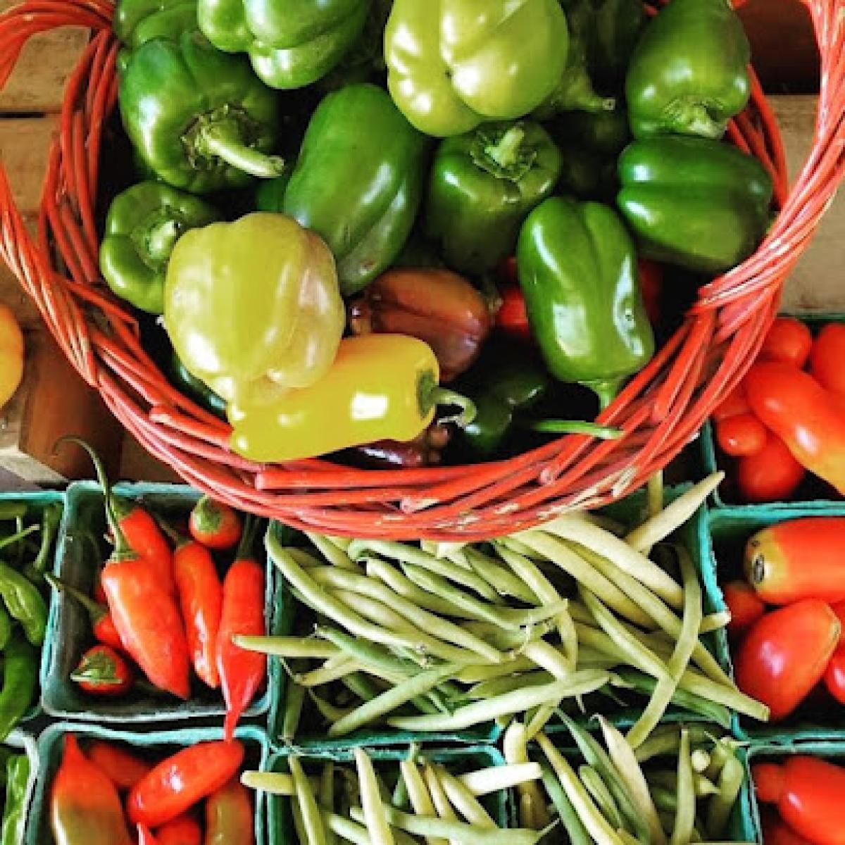 Elder Oaks Farm Market