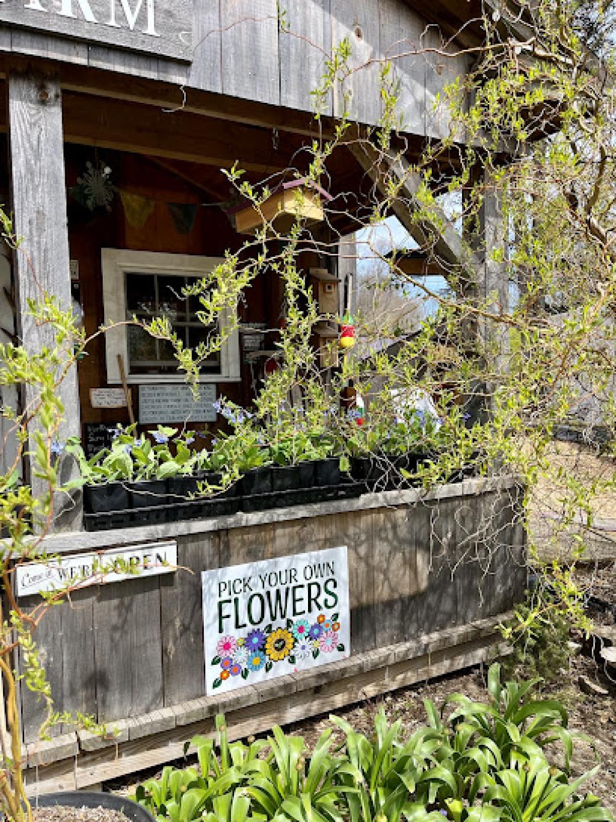 Northern Lights Farm Stand