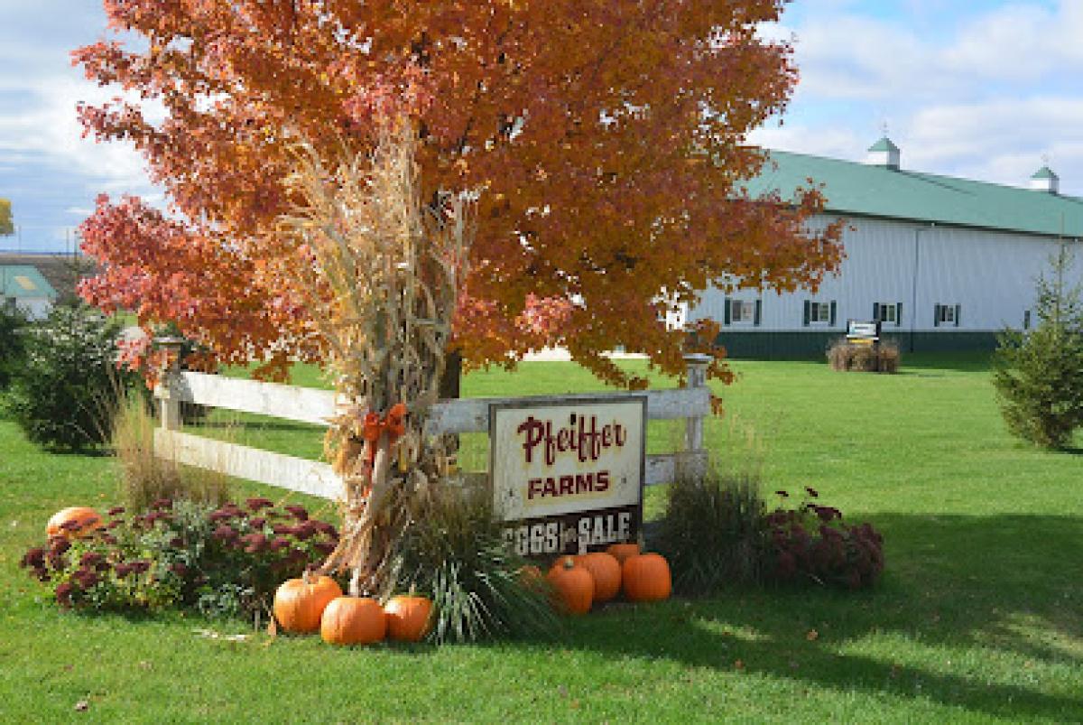 Pfeiffer Farms Fresh Market