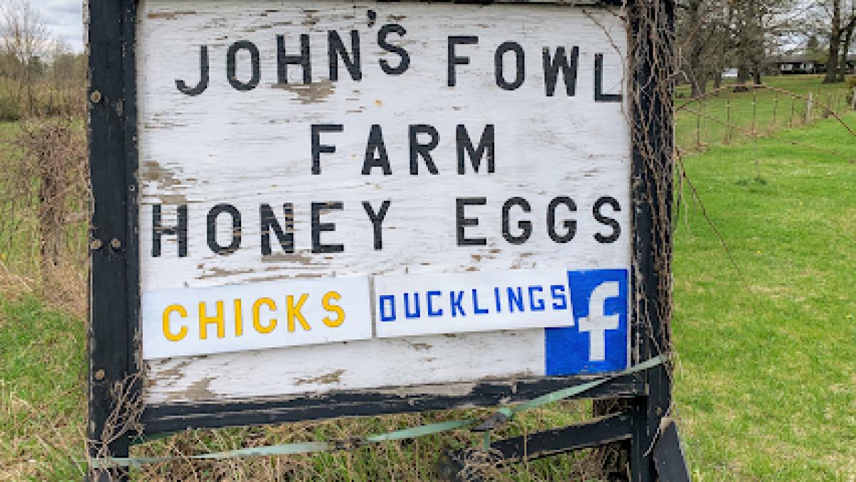 Johns Fowl Farm