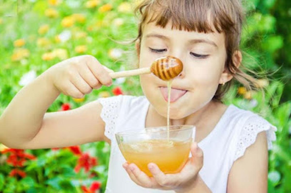 The Blessed Bee Company