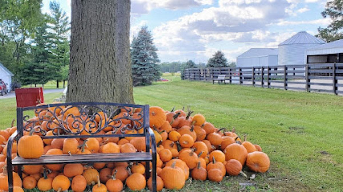 Dollinger Family Farm