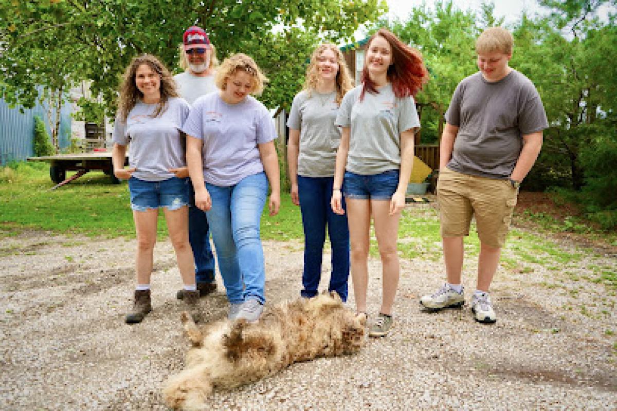 Hoffman's Little Acres (farm)